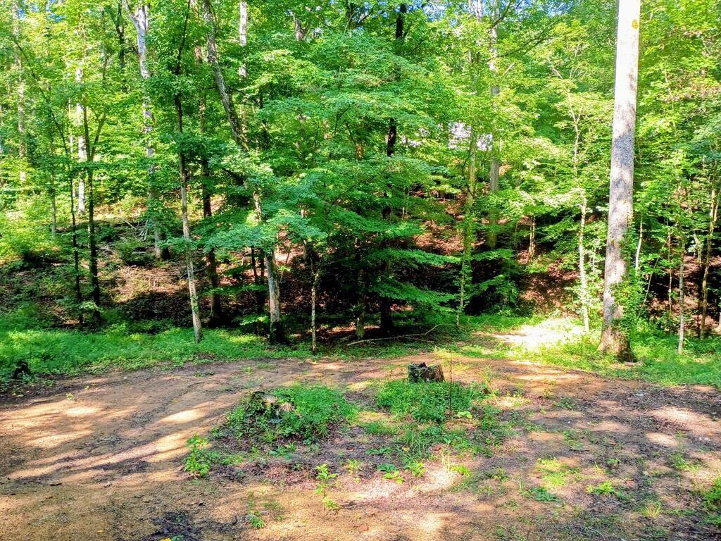 Property Photo:  00 Short Oak Road  GA 30705 