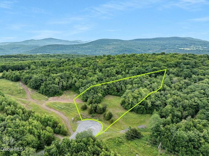 Property Photo:  L39 Overlook Drive  NY 12452 