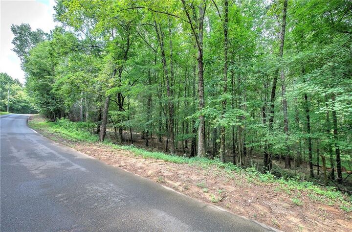 Property Photo:  0 Weissenger Road  GA 30145 