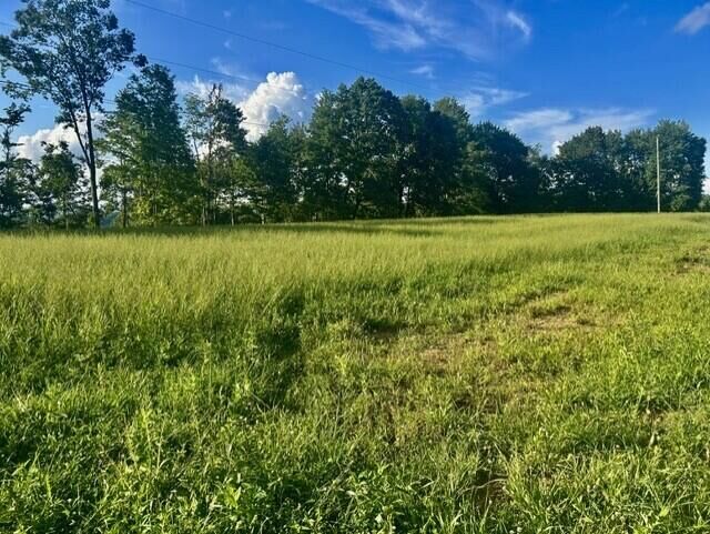 Property Photo: 273 Reagan Dr WV 26679