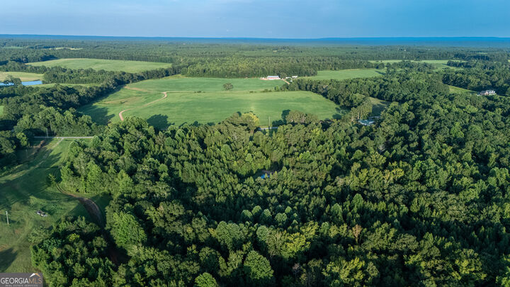 Property Photo: 137 Robertson Road GA 30241