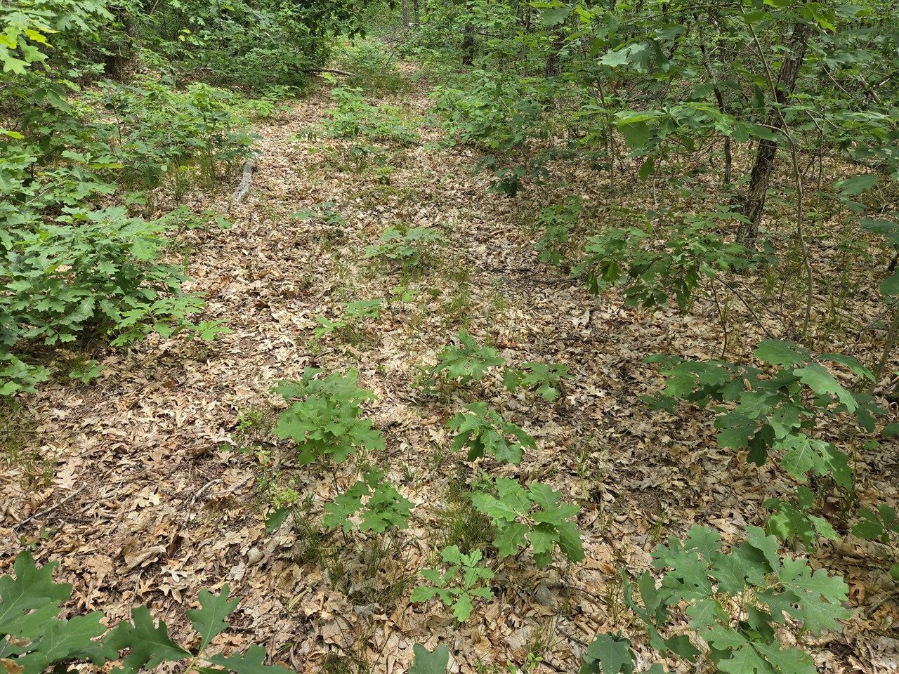 Property Photo:  V/L 10-13 W Oliver Road  MI 49304 