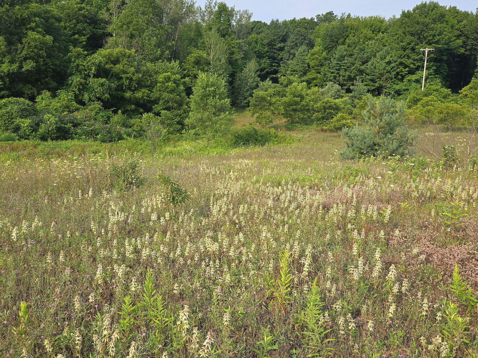 Property Photo:  N 72nd Avenue  MI 49420 