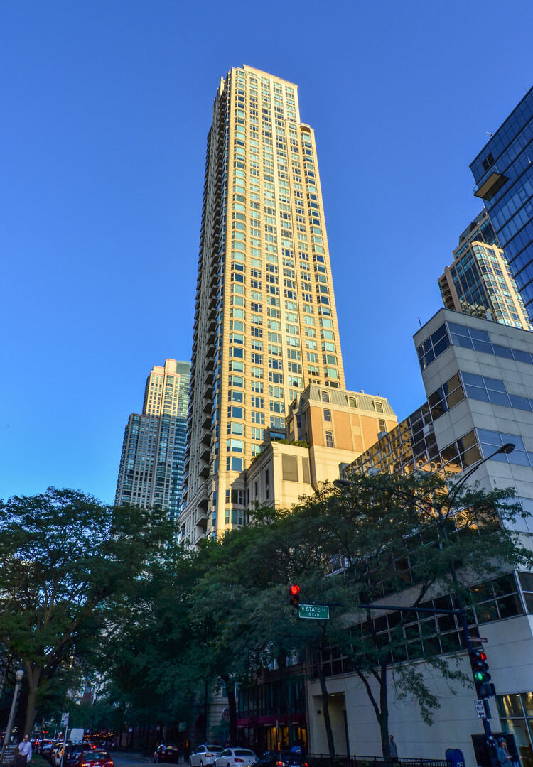 Property Photo:  25 E Superior Street 3701  IL 60611 