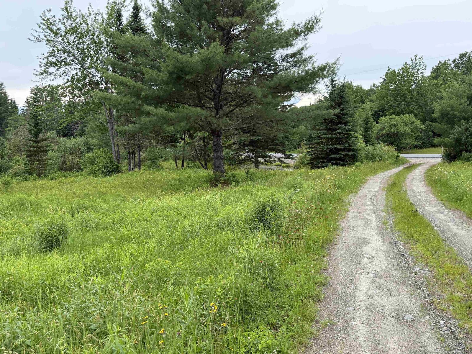 Property Photo:  153 Garland Road  NH 03584 