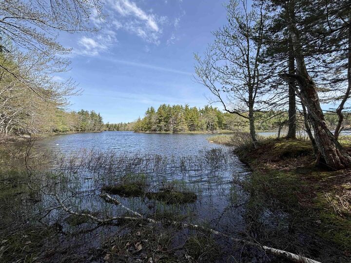 Property Photo:  Lot 4-23 Highway 325  NS B4V 8H3 