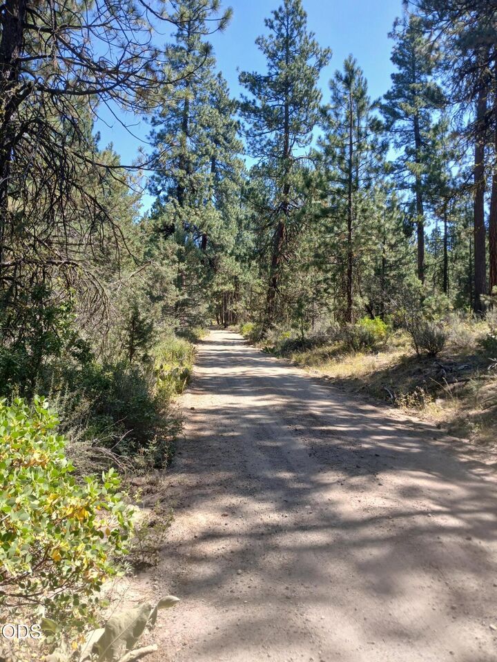 Property Photo: 0 Oriole Drive Lot 13 OR 97623