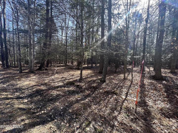Property Photo:  209 &Amp 210 Polaris Way  PA 18436 