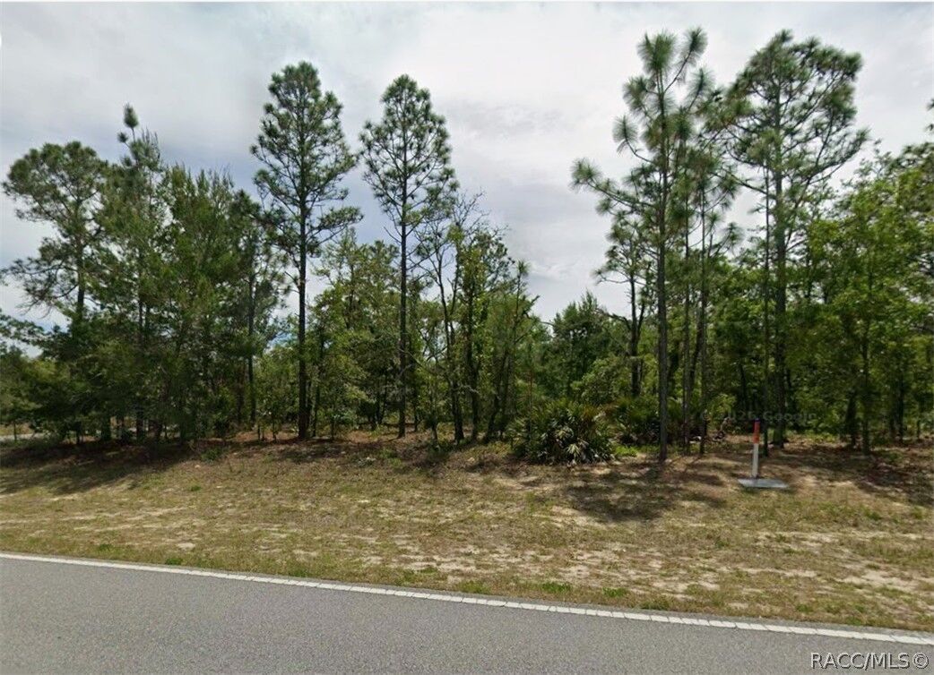 Property Photo: 1782 W Hampshire Boulevard FL 34434