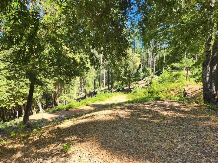 Property Photo: 11157 Breezy CA 95930