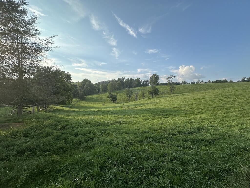 Property Photo:  Tbd Glade Road  VA 24382 