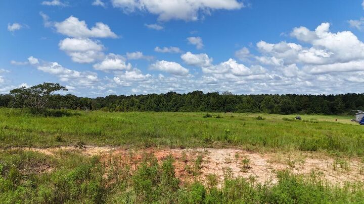 Property Photo: 2654 New Hinson Road AL 36375