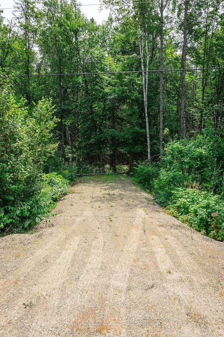 Property Photo:  167 North Pickerel Lake Road  ON P0A 1C0 