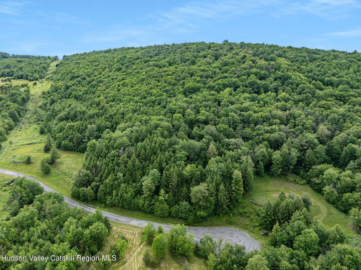 Property Photo: L28.1 Deer NY 12452