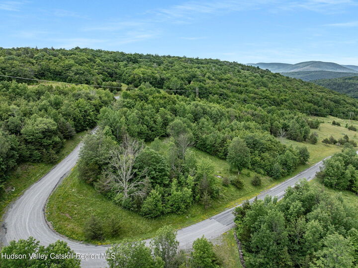 Property Photo: L40 Overlook NY 12452