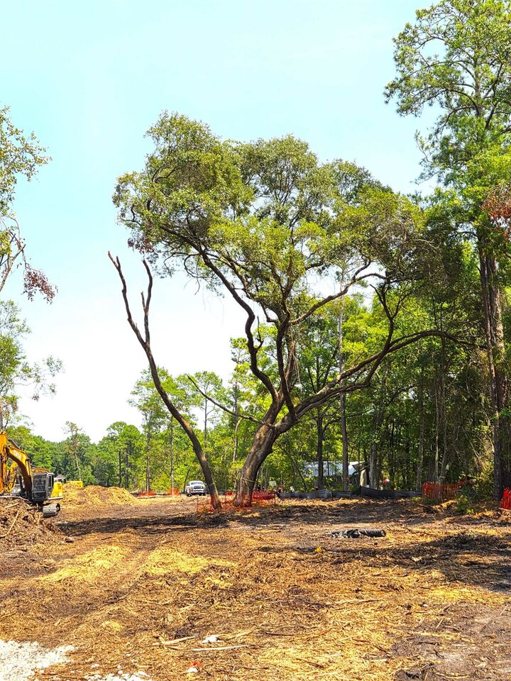 Property Photo:  885 Martin Luther King Rd.  SC 29585 