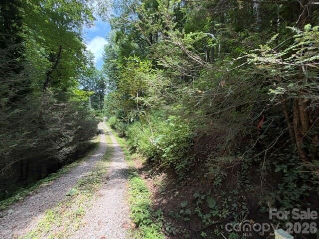 Property Photo:  Lot 33-A Sara Ridge Road  NC 28786 