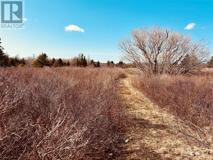 Property Photo:  70A Central Street  NL A0A 0H2 