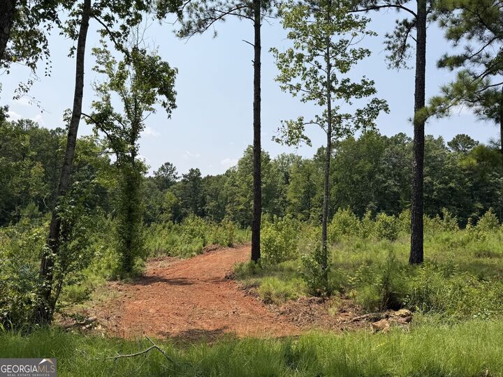 Property Photo: 704 Giles Road GA 31029