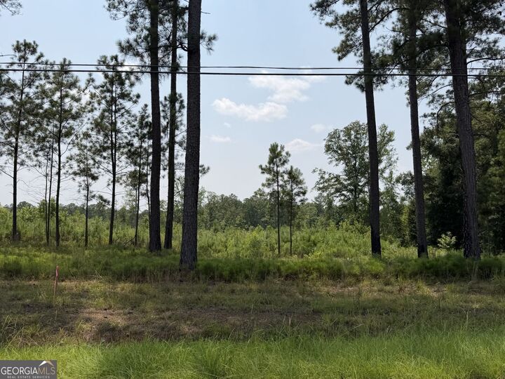 Property Photo: 682 Giles Road GA 31029