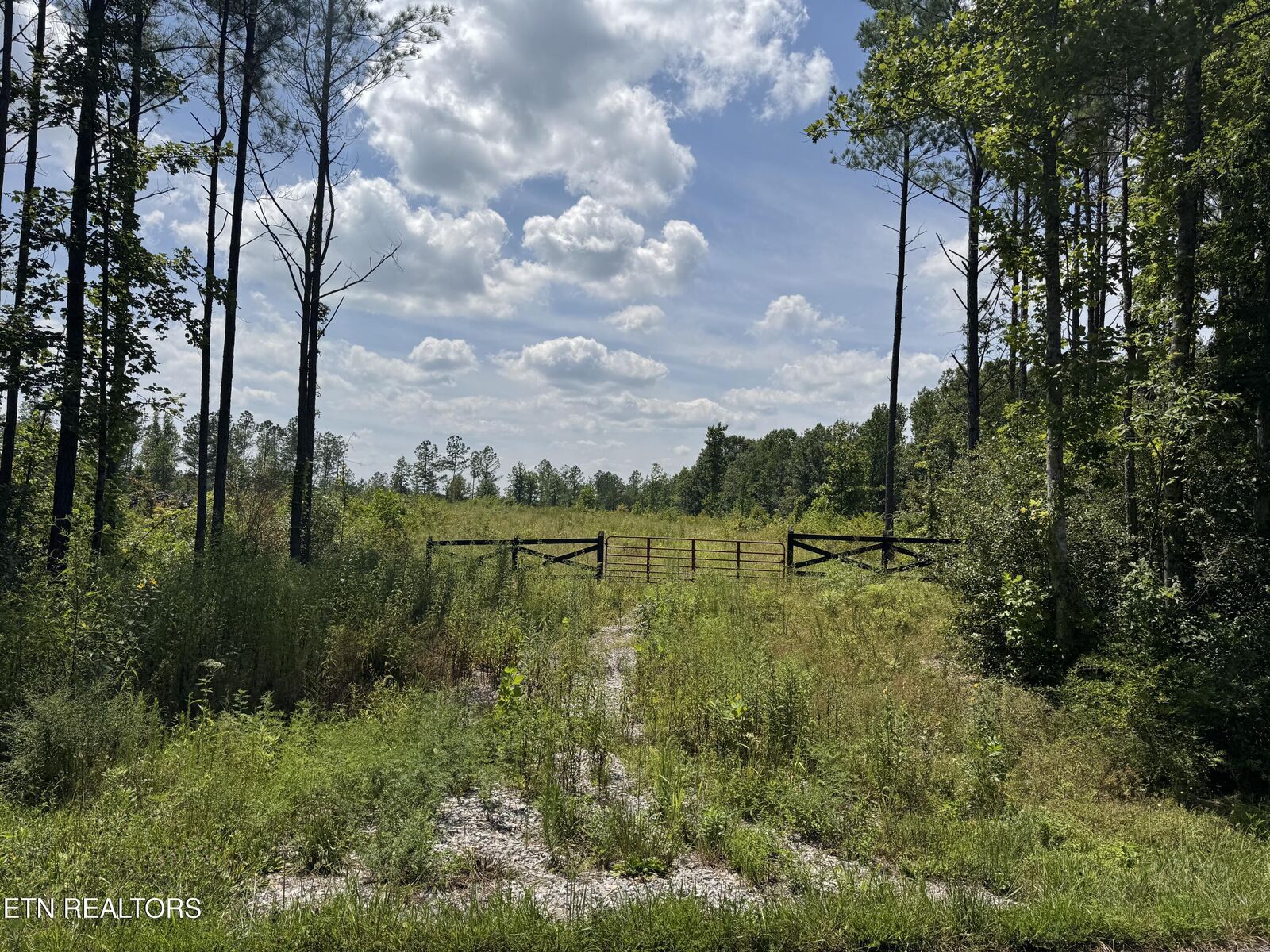 Property Photo: Lot #12 Burrville Rd TN 37872