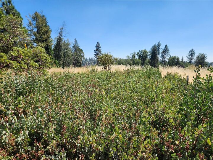 Property Photo:  13602 Andover  CA 95954 