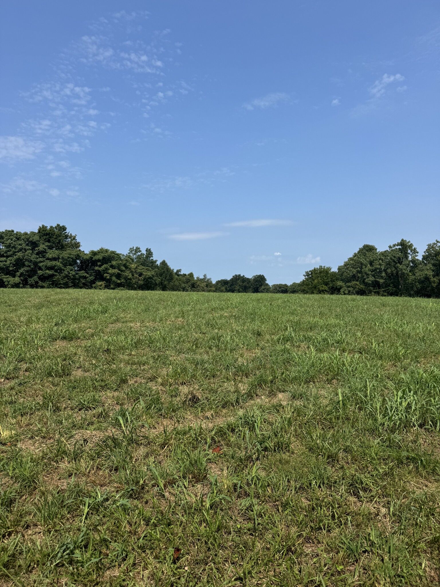 Property Photo:  0 Ivy Lane  TN 37150 