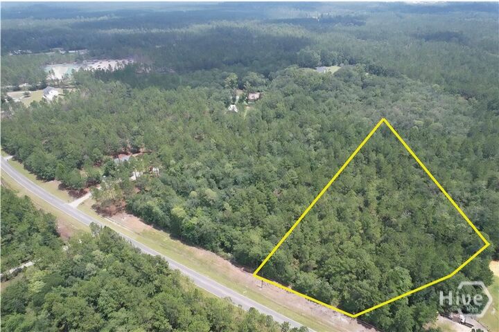 Property Photo:  0 Brogdon Road  GA 31312 