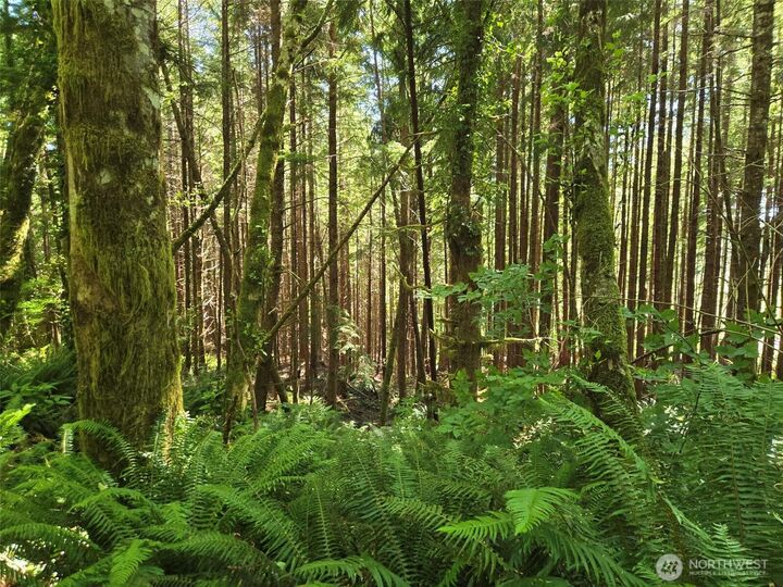 Property Photo:  0 Nka  S.r. 109 Spur  WA 98550 