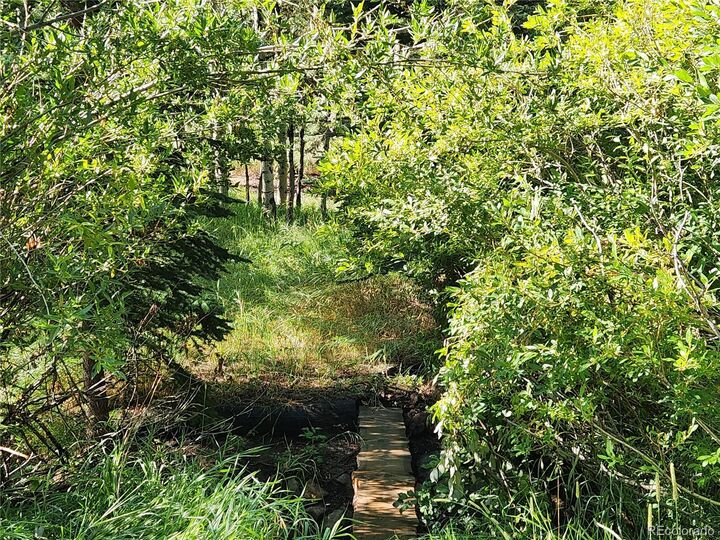 Property Photo: 531 Caribou Road CO 80466