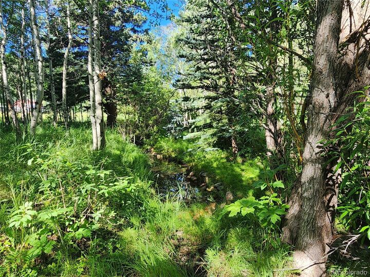 Property Photo:  531 Caribou Road  CO 80466 