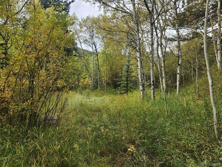 Property Photo:  531 Caribou Road  CO 80466 
