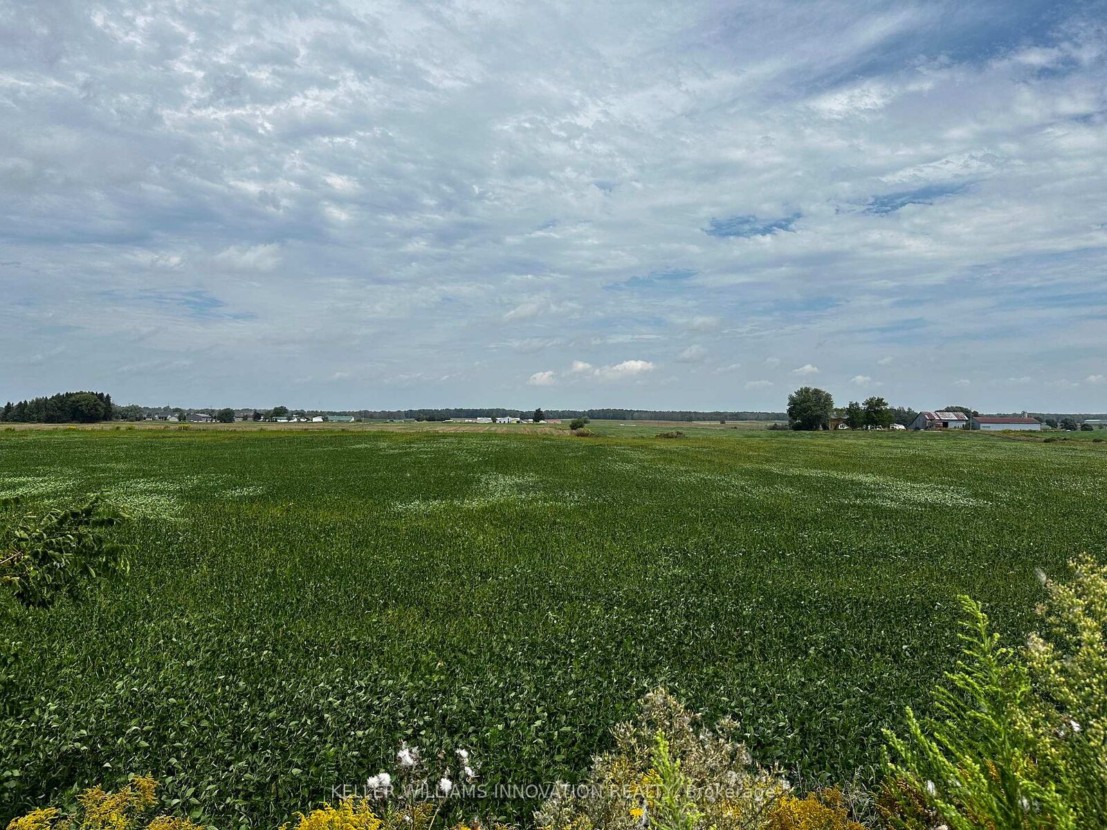 Property Photo:  1050 Walton Avenue N  ON N4W 3S2 