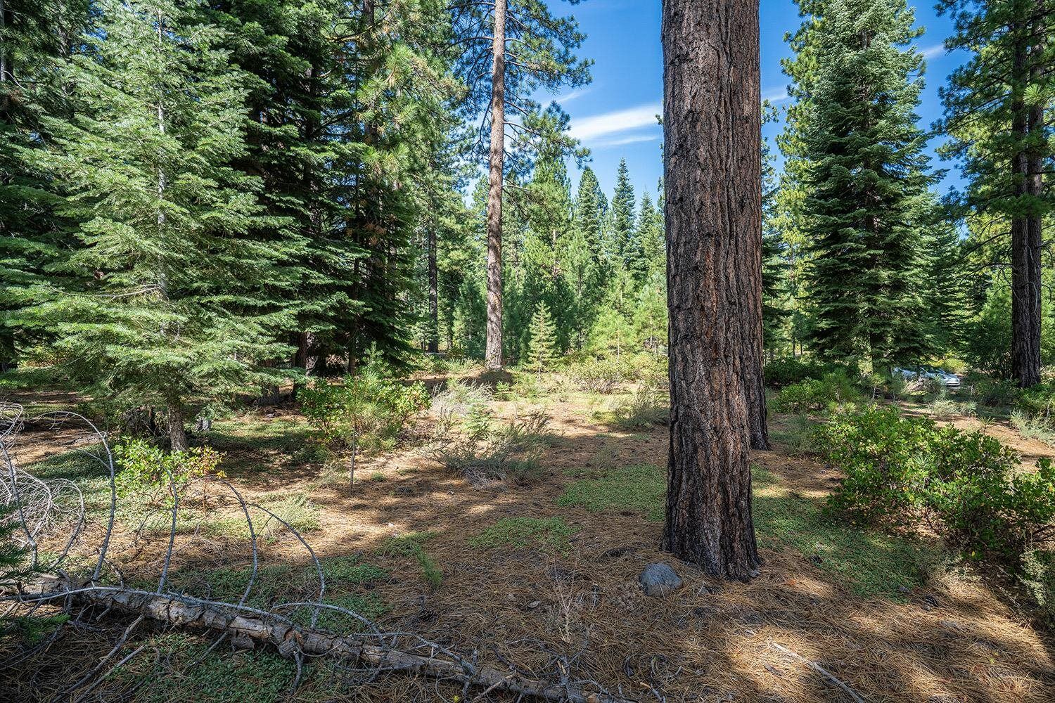Property Photo: 801 Joseph Gray CA 96161