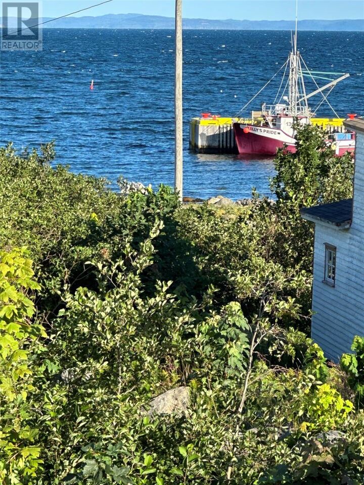 Property Photo:  213 A Main Road  NL A0B 3M0 