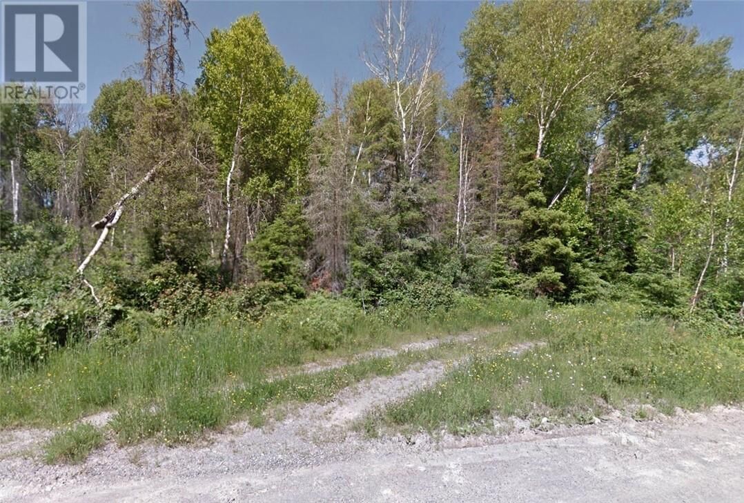 Property Photo:  110 Kontola Road  ON P0M 3C0 