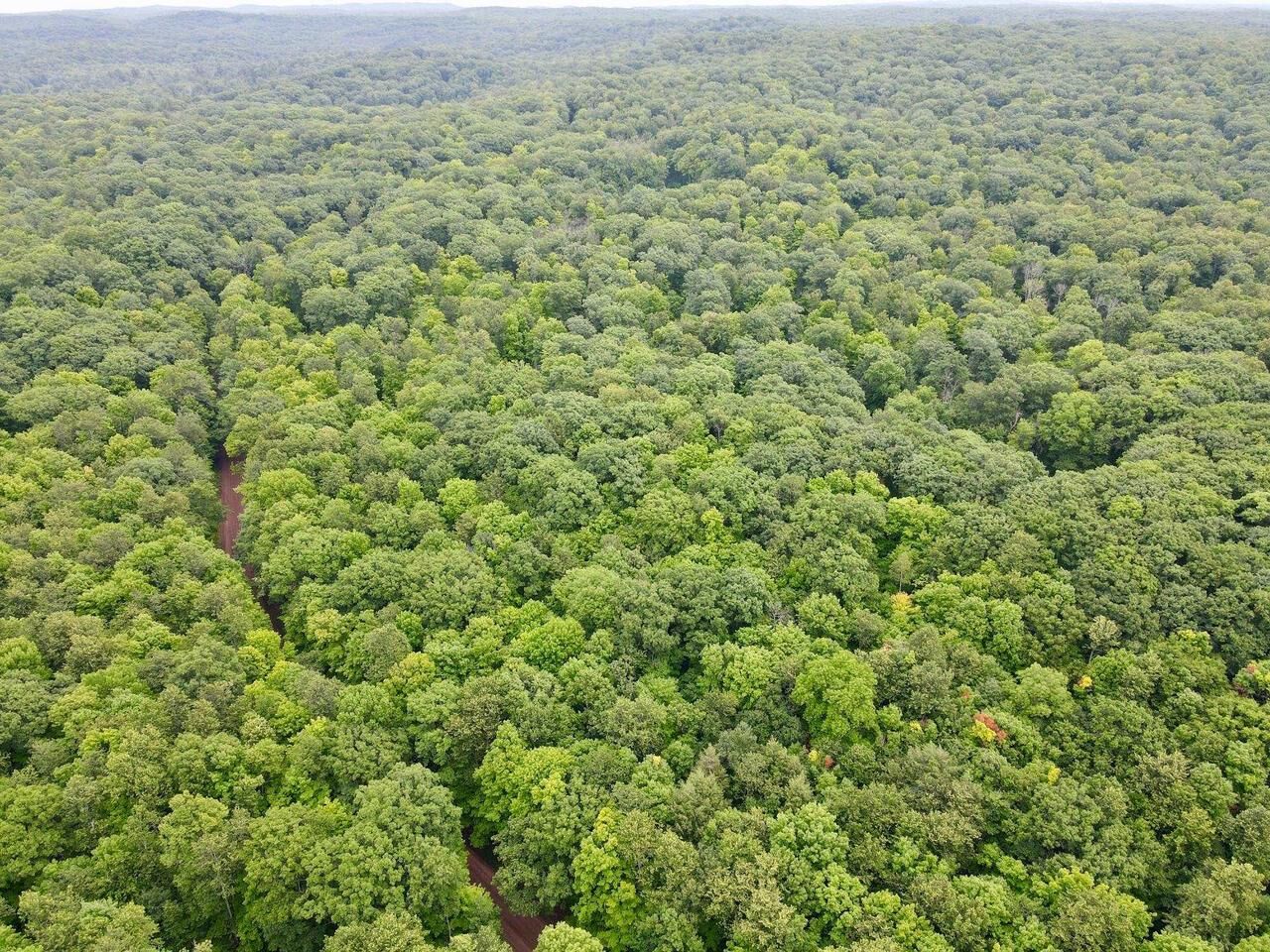 Property Photo: Lot 3 Crane Foot Lake Road WI 54435