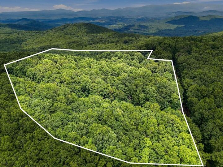Property Photo:  Lot197 St Andrews Way  GA 30536 