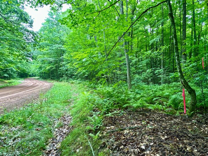 Property Photo: Lot 4 Crane Foot Lake Rd WI 54435