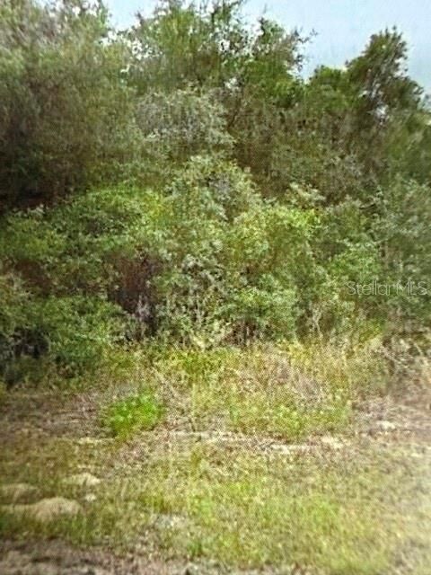 Property Photo: Walton FL 34434