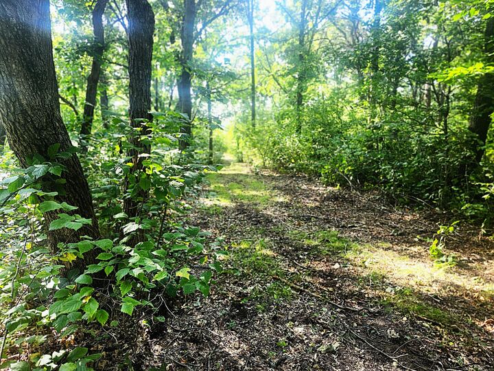 Property Photo: Tbd 400th Street MN 56438