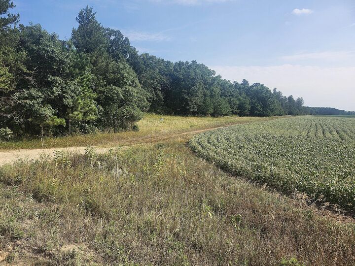 Property Photo: Tbd 400th Street MN 56438
