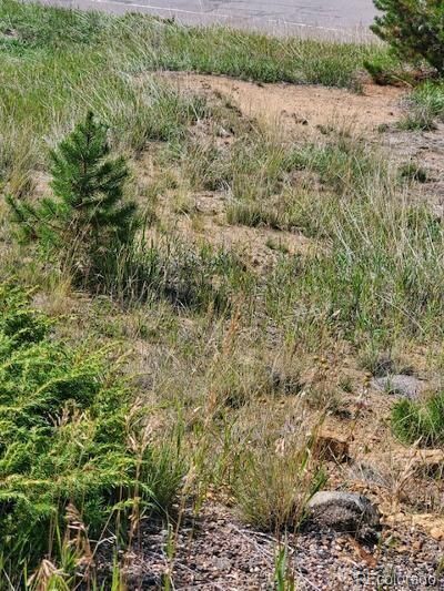Property Photo:  000 Quartz Valley  CO 80427 