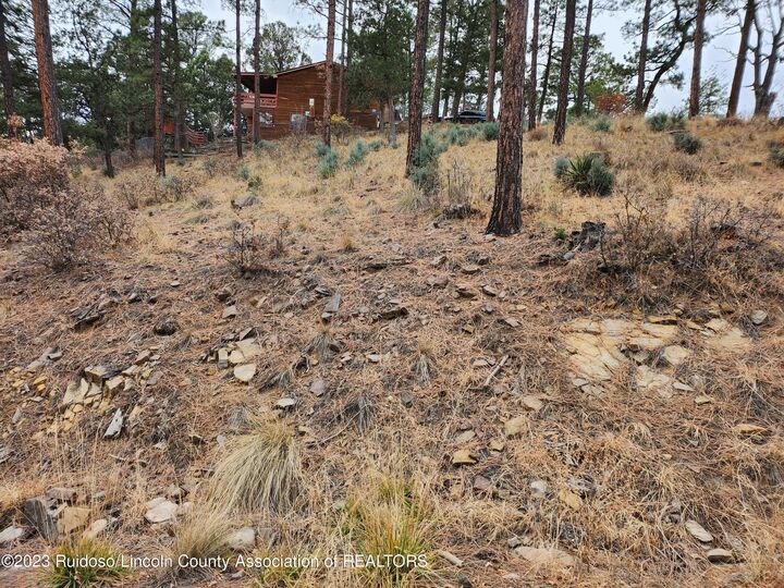 Property Photo: 138 King Richard Drive NM 88345