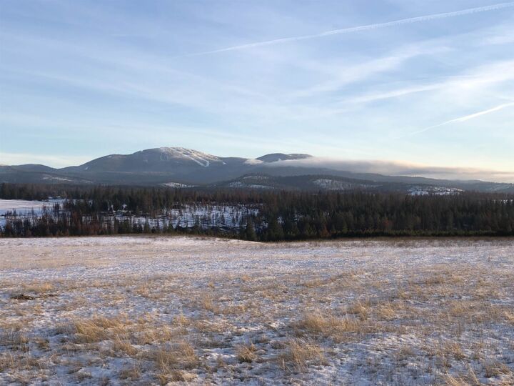 Property Photo: 41900 N Darknell Rd WA 99009