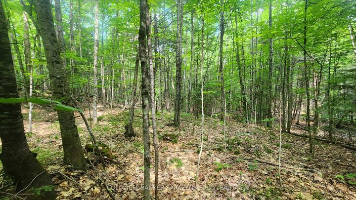 Property Photo:  00 Canaan Road  ON K7V 3Z4 