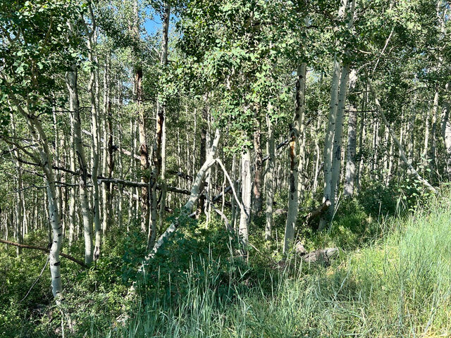 Property Photo:  5475 N Hidden Way 37  UT 84049 
