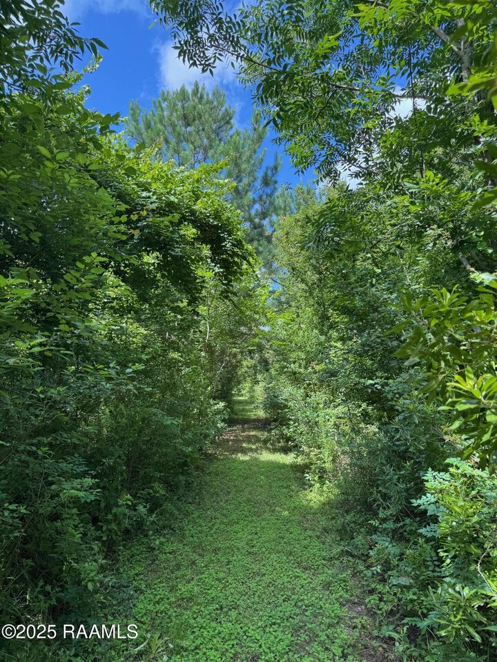 Property Photo: Tbd Lot 5 Frozard Road 5 LA 70512