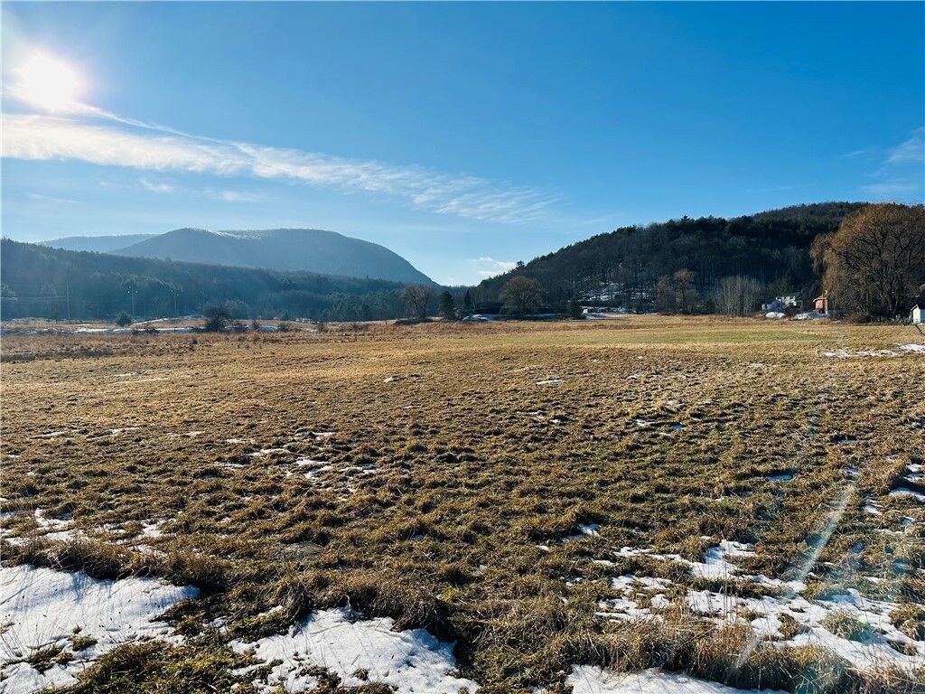 Property Photo: 171 Cronk Lane NY 12434