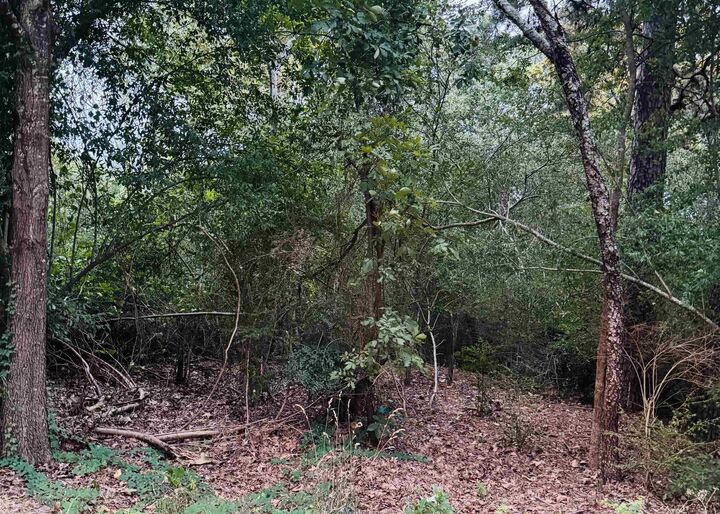 Property Photo: Lot 24 Lee Summit Dr. AR 72202